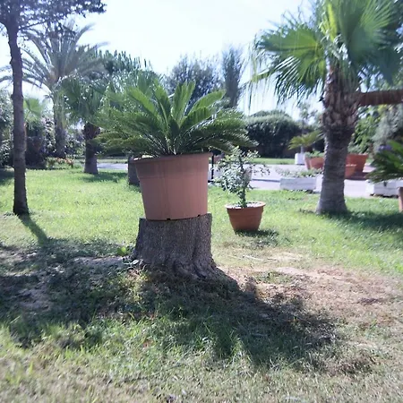 فيلة Poligono 15 - 3 *