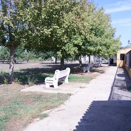 Poligono 15 - 3 * Benifayó